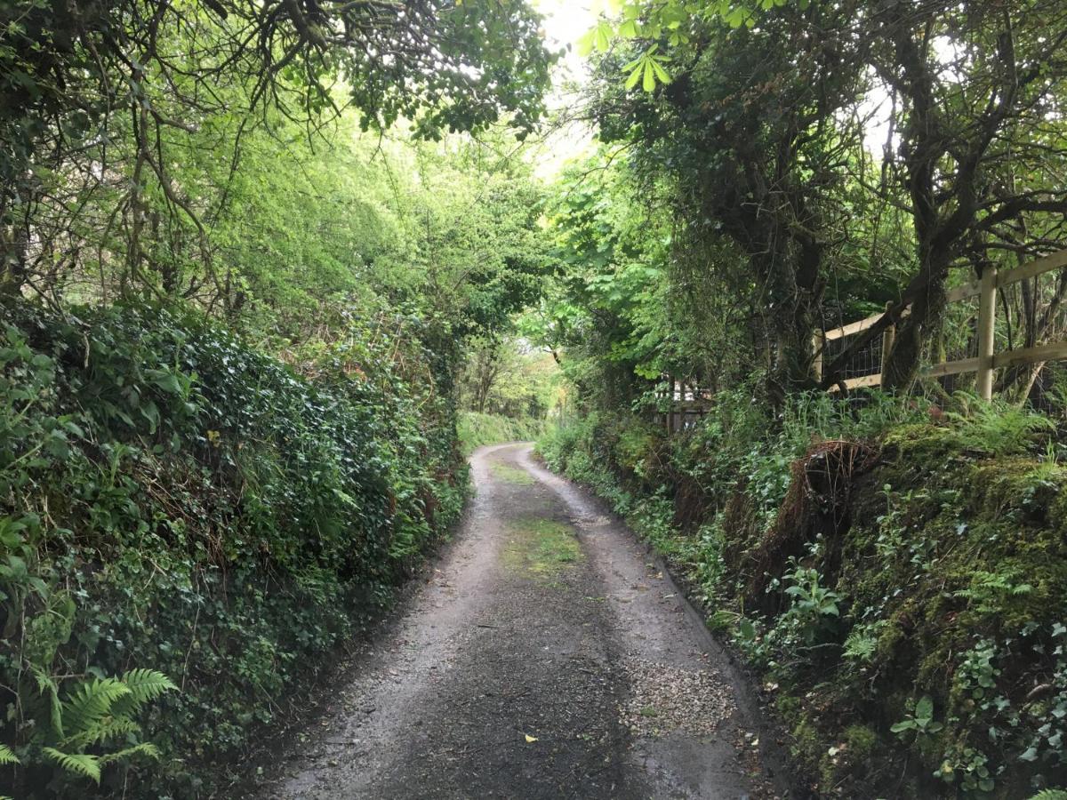Higher Trenear Farm B&B Helston Εξωτερικό φωτογραφία