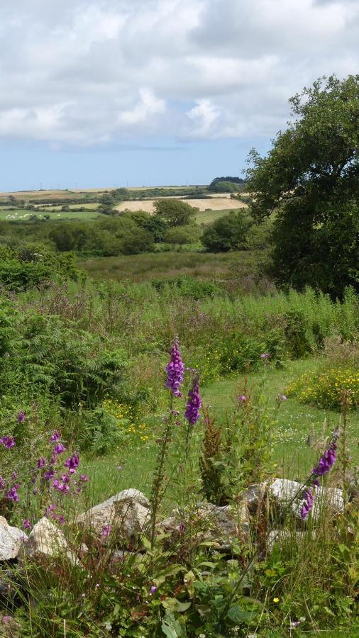 Higher Trenear Farm B&B Helston Εξωτερικό φωτογραφία